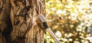 Are You Working with a Dull Ax?