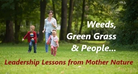 Weeds, Green Grass & People… Leadership Lessons from Mother Nature