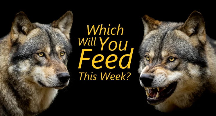 Which Will You Feed This Week?