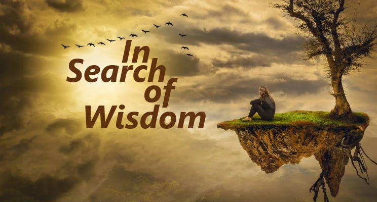 In Search of Wisdom