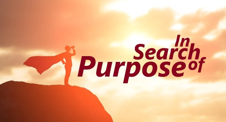 In Search of Purpose