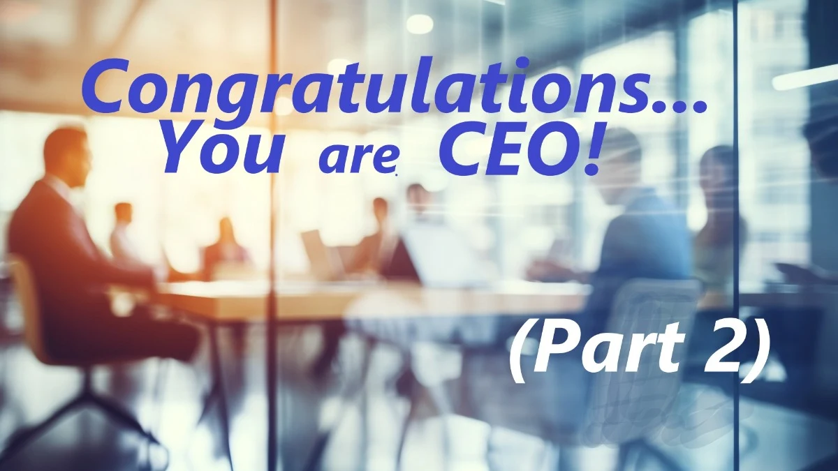 Congratulations! You are CEO! - Part 2